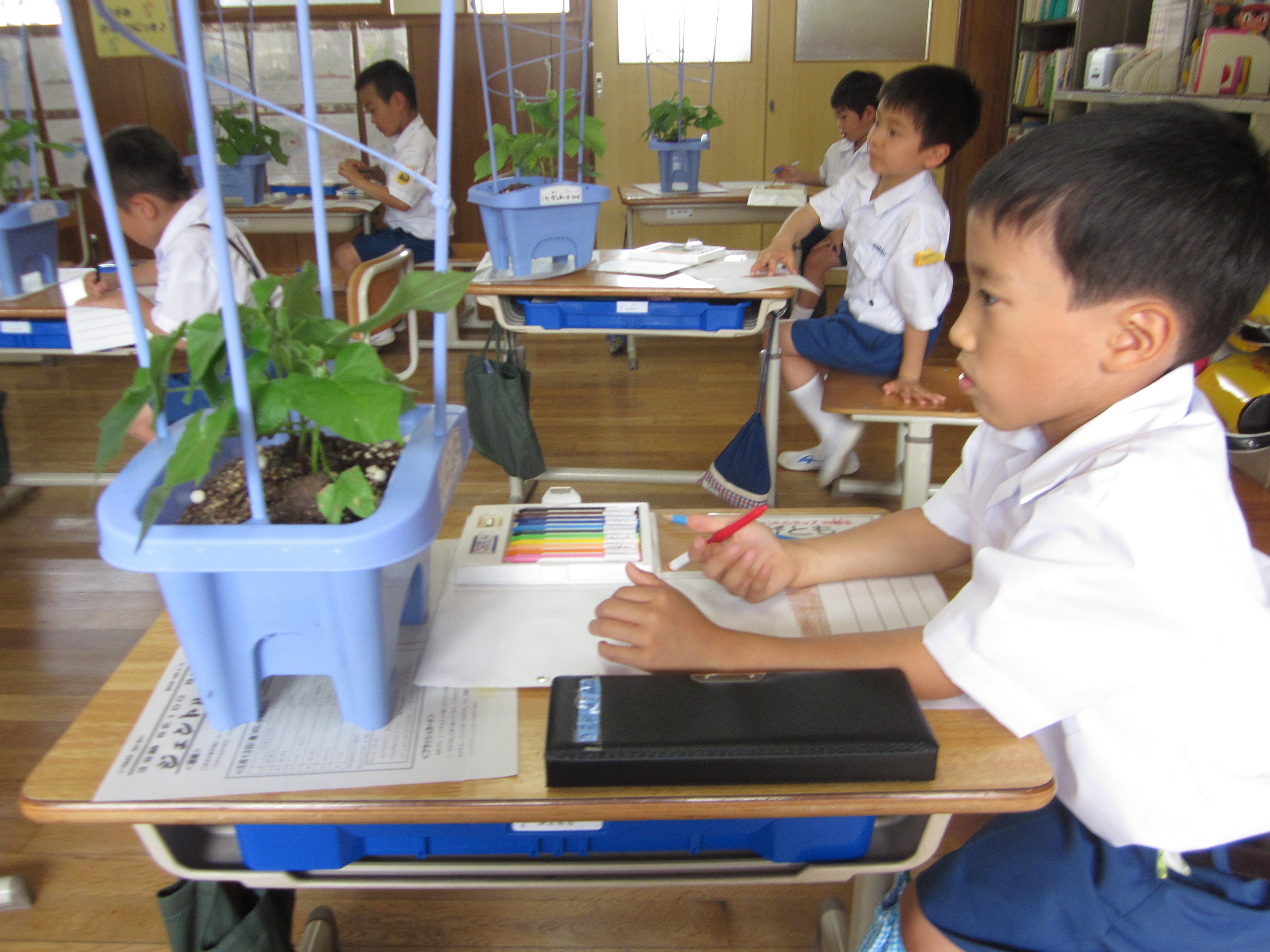 「あじさい劇場(学芸会)」まであと２週間！