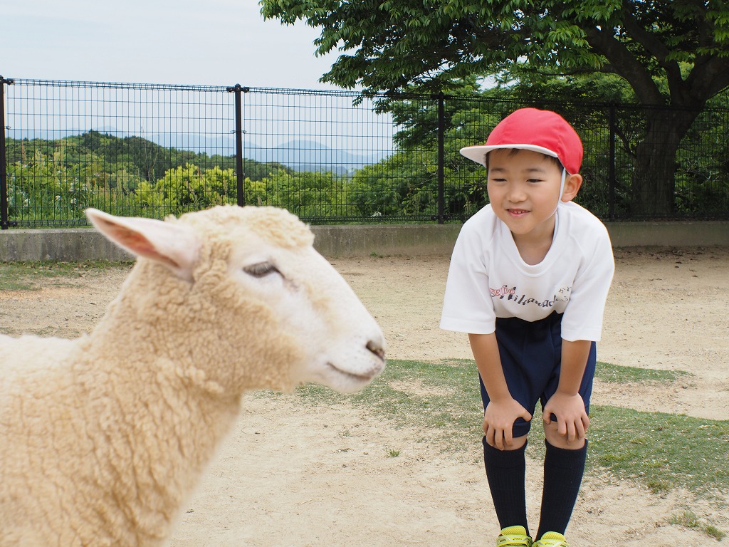 右見て～左見て～そして、もう一度右を見て～