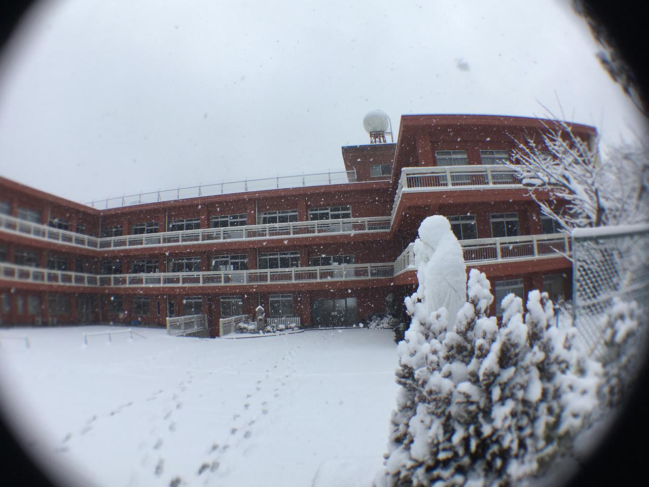 今日は珍しく大雪！