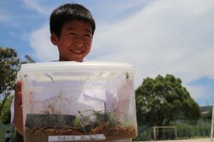 左手に虫かご 右手には虫取り網 精道三川台小学校