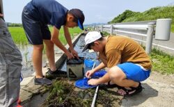 文教クラブ ５・６年対象 生き物採集￼