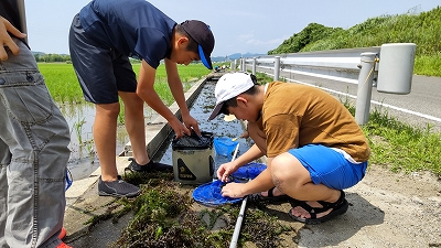 文教クラブ ５・６年対象 生き物採集￼