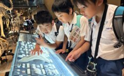 修学旅行 2日目